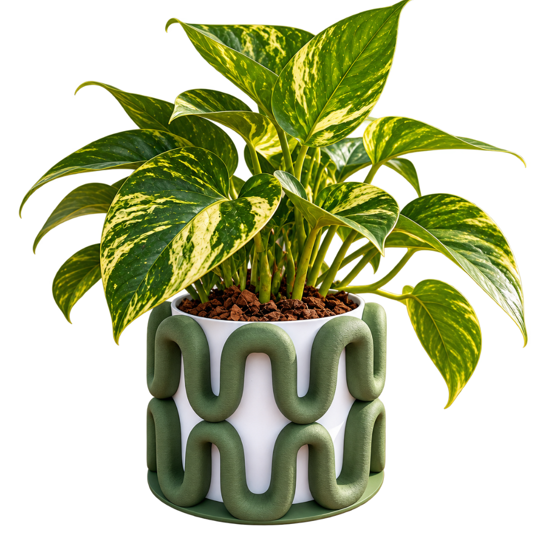O vaso da onda